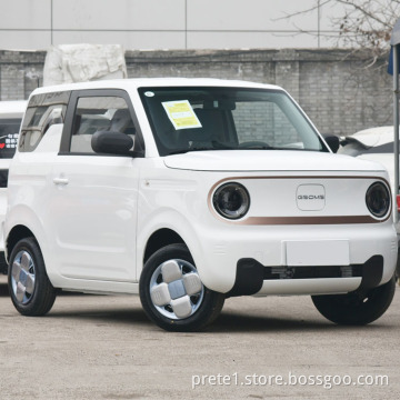 ASIENTOS COCHE S GEELY PANDA MINI EV CAR 4 مقاعد كهربائية EV CAR